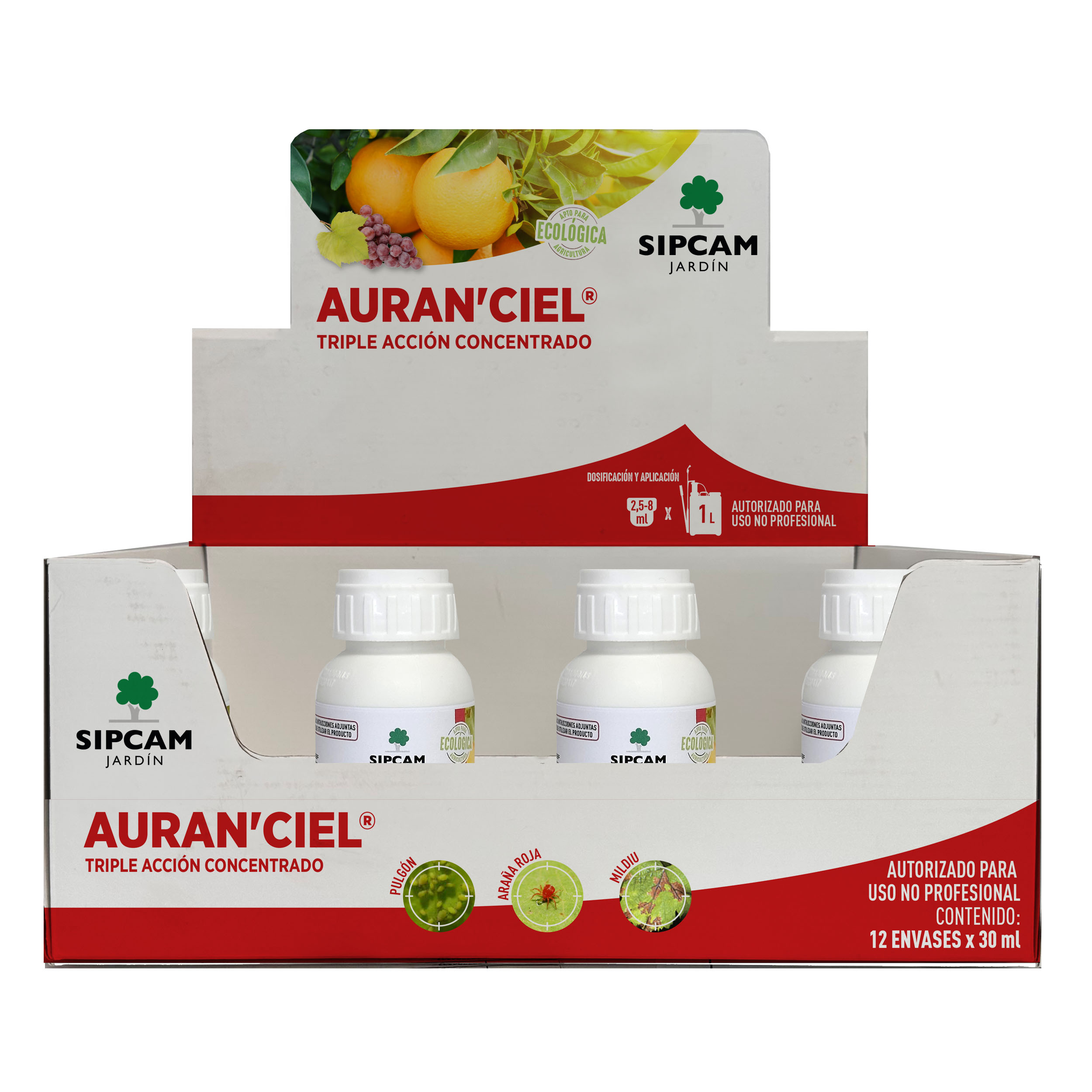 expoositora auranciel